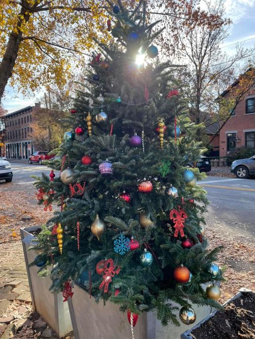 A decorated Christmas tree with colorful ornaments stands on a street, sunlight shining through its branches.