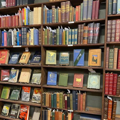 A wooden bookshelf filled with a variety of colorful vintage books arranged neatly.