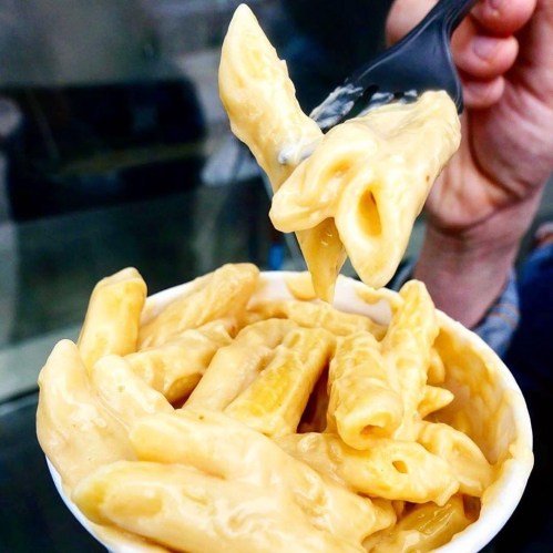 A close-up of a bowl of creamy macaroni and cheese, with a fork lifting a portion from the bowl.