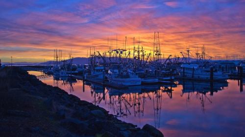 A vibrant sunset over a marina, with fishing boats and their reflections in calm water.