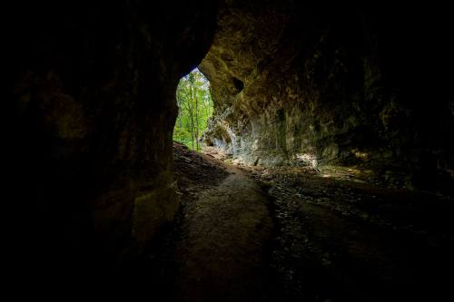 A dark cave entrance reveals a path leading to a sunlit forest beyond.