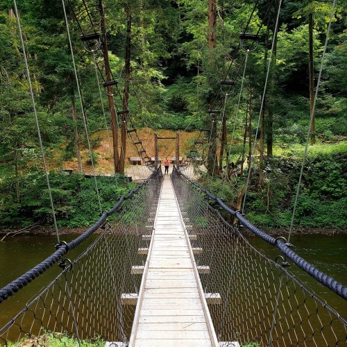 A wooden suspension bridge stretches over a river, surrounded by lush green trees and foliage. Two people walk across it.