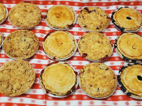 A variety of freshly baked pies arranged on a red and white checkered tablecloth.