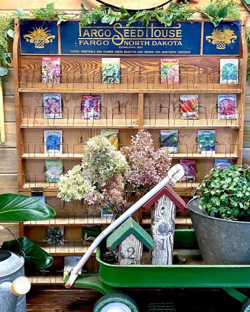 A wooden display rack with seed packets and dried flowers, surrounded by gardening tools and plants.