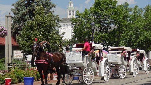 A horse-drawn carriage waits on a street, surrounded by greenery and a historic building in the background.