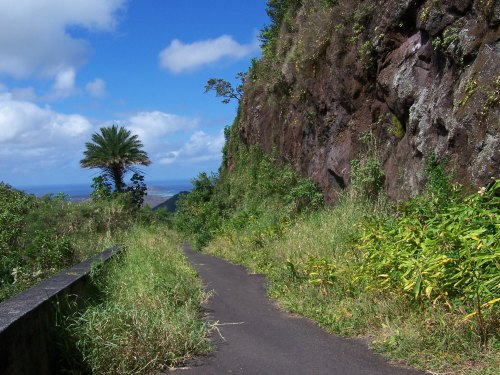 A narrow path winds through lush greenery and rocky terrain, with a palm tree and blue sky in the background.