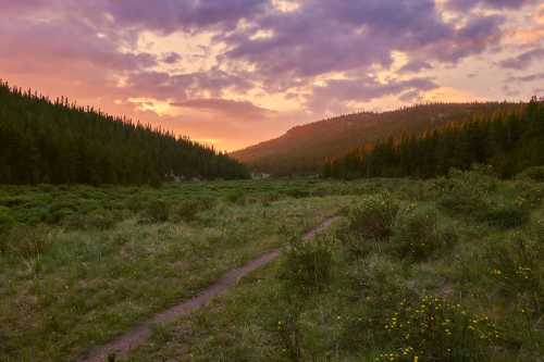 A serene landscape at sunset, featuring a grassy meadow surrounded by trees and distant mountains under a colorful sky.