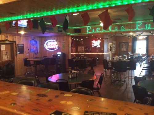 Interior of a cozy bar with wooden walls, festive decorations, and empty tables under green lights.
