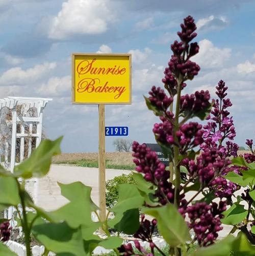 A bright yellow sign reading "Sunrise Bakery" stands near blooming purple flowers against a cloudy sky.
