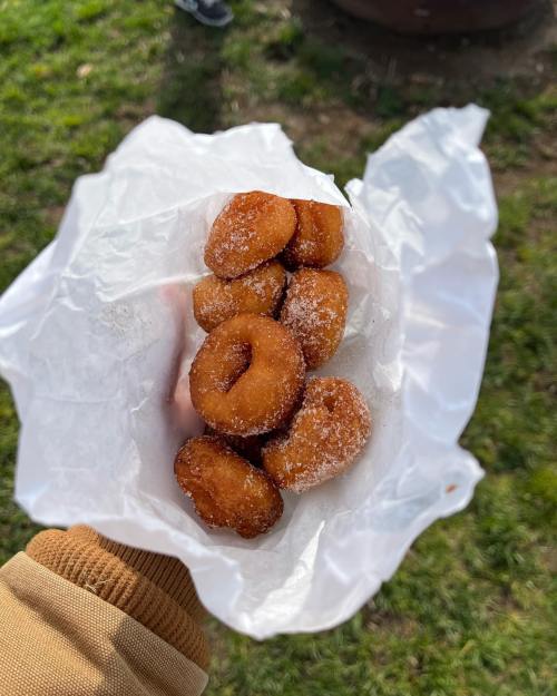 A hand holding a paper bag filled with small, sugary fried doughnuts on a grassy background.