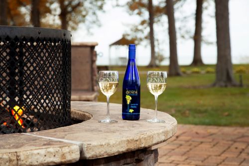 A blue wine bottle and two glasses sit on a stone table by a fire pit, surrounded by trees and a gazebo in the background.