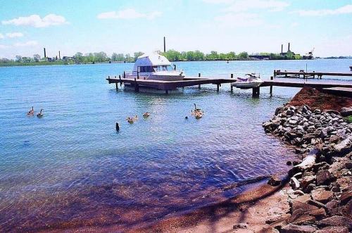 A serene waterfront scene with a dock, a boat, and ducks swimming in calm water under a clear blue sky.