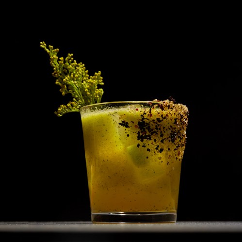 A vibrant cocktail in a glass, garnished with a sprig of greenery and a rim of spices, set against a dark background.