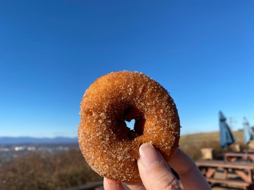 A hand holds a sugared donut against a clear blue sky and distant mountains.