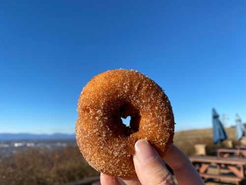 A hand holds a sugared donut against a clear blue sky and distant mountains.