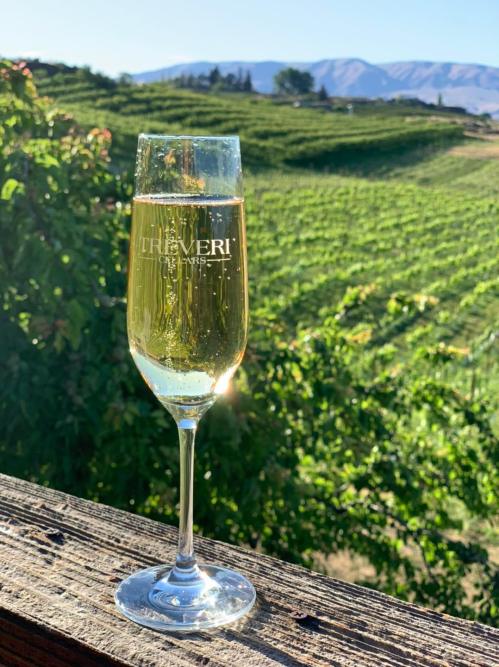 A glass of sparkling wine stands on a wooden railing, with lush vineyards and mountains in the background.