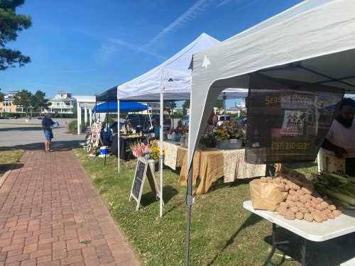 A vibrant farmers market with tents displaying fresh produce and flowers, set in a sunny outdoor location.