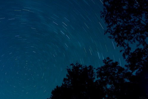 Star trails swirl in a dark sky, framed by silhouettes of trees against a serene night backdrop.