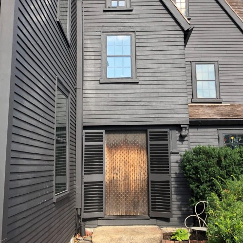 A dark wooden house with multiple windows and a textured wooden door, surrounded by greenery and a small chair.
