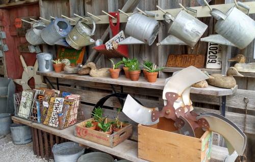 A rustic display of vintage gardening tools, watering cans, potted plants, and decorative items on wooden shelves.