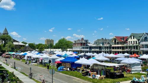 A vibrant outdoor market with numerous tents set up along a street, surrounded by trees and historic buildings under a blue sky.