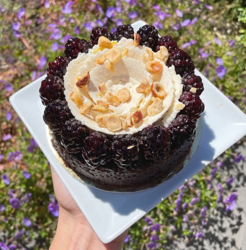 A hand holding a round cake topped with blackberries, cream, and chopped nuts, set against a floral background.