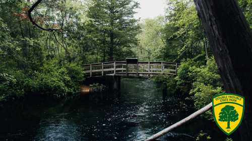 A serene view of a wooden bridge over a dark stream, surrounded by lush greenery at Double Trouble State Park.