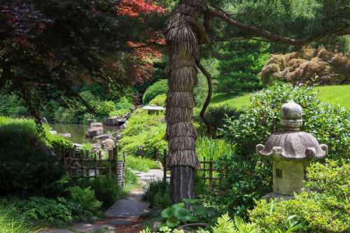 A serene garden scene featuring lush greenery, a stone lantern, and a pathway leading to a tranquil pond.