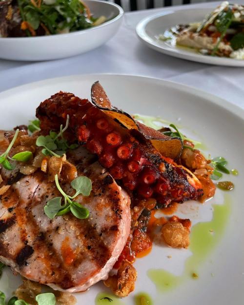 Grilled octopus and pork on a white plate, garnished with microgreens and a colorful sauce.