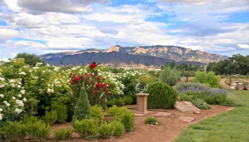 A scenic garden with colorful flowers and shrubs, set against a backdrop of mountains and a blue sky with clouds.