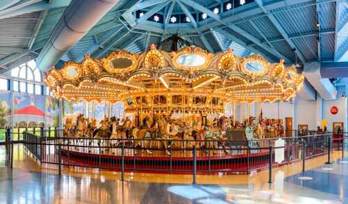 A brightly lit carousel with ornate horses, set in a spacious indoor area with blue ceilings and colorful decor.