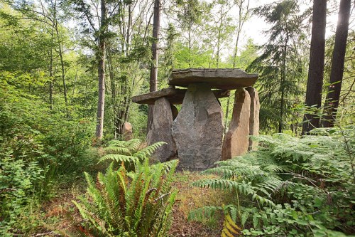 A stone structure resembling a dolmen surrounded by lush greenery and ferns in a forested area.