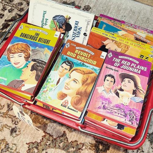 A red basket filled with vintage romance novels featuring colorful covers and titles like "The Dangerous Delight" and "Revolt and Virginia."