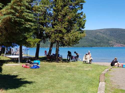 A sunny lakeside scene with people relaxing on the grass, trees, and a clear blue lake in the background.
