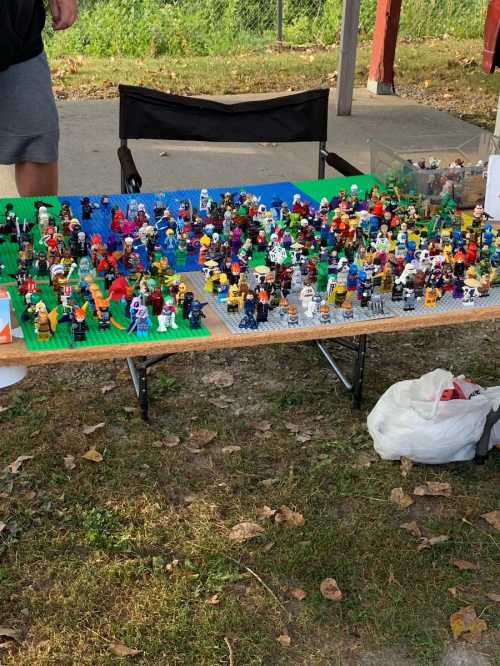 A table covered with a colorful display of various LEGO figures and sets, set outdoors on a grassy area.