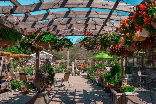 A vibrant garden center with hanging flower baskets, potted plants, and outdoor seating under a wooden pergola.