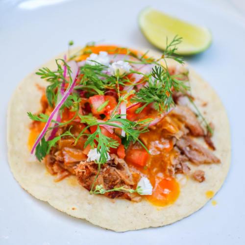 A close-up of a taco filled with shredded meat, fresh herbs, diced tomatoes, and a lime wedge on the side.