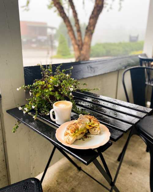 A cozy café scene featuring a sandwich and a latte on a wet table, with a potted plant nearby and a misty background.