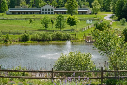 A serene landscape featuring a pond with a fountain, surrounded by greenery and a building in the background.