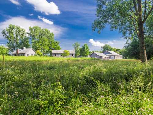 A serene landscape featuring three modern houses surrounded by lush green grass and trees under a blue sky.