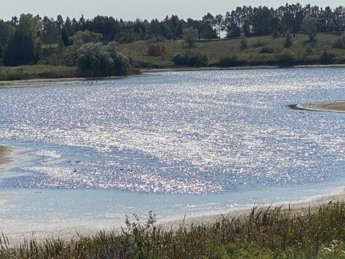 A shimmering lake reflects sunlight, surrounded by lush greenery and trees in the background.