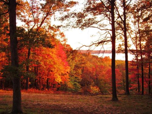 Vibrant autumn foliage in shades of orange and red, with a serene lake visible in the background at sunset.