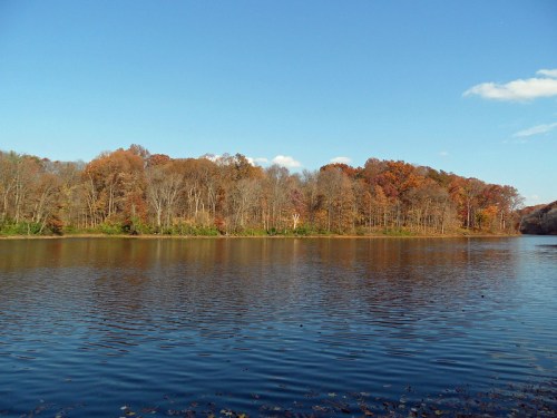 A serene lake surrounded by trees displaying autumn colors under a clear blue sky.