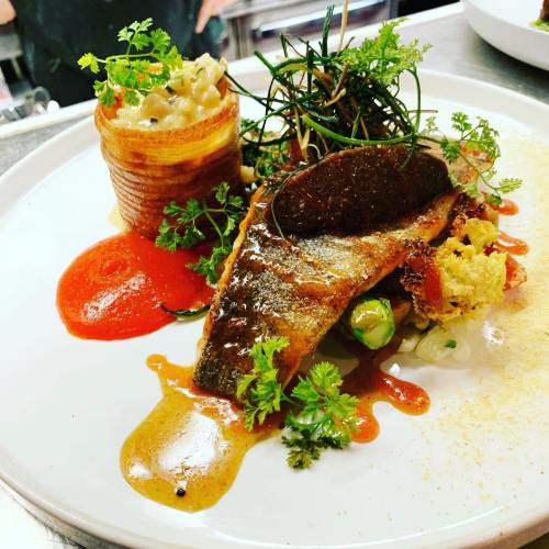 A beautifully plated dish featuring seared fish, vibrant sauces, and garnishes, served with a side of creamy pasta.