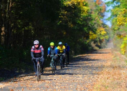 A group of cyclists riding on a tree-lined path covered in autumn leaves.