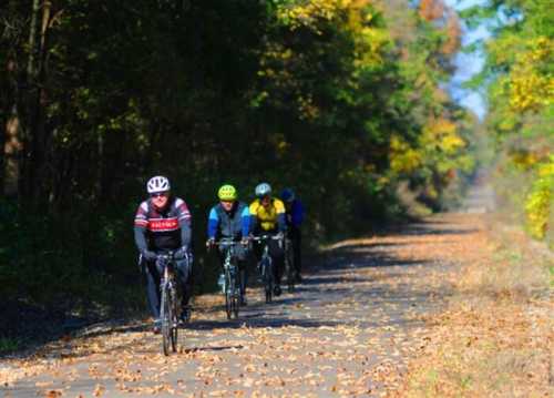 A group of cyclists riding on a tree-lined path covered in autumn leaves.