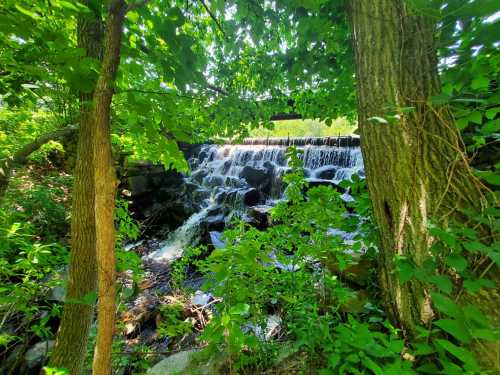 A serene waterfall cascades over rocks, surrounded by lush green trees and foliage. Sunlight filters through the leaves.