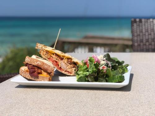 A plate with a sandwich and a fresh salad, set against a backdrop of blue ocean and clear sky.