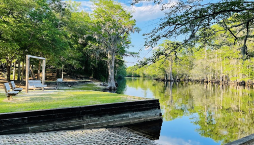 A serene riverside scene with a swing, lush greenery, and calm water reflecting the blue sky.