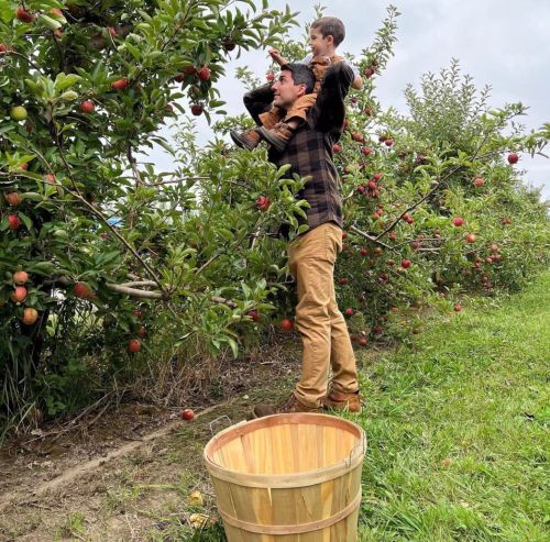 A man lifts a child on his shoulders while picking apples from a tree in an orchard, with a basket nearby.